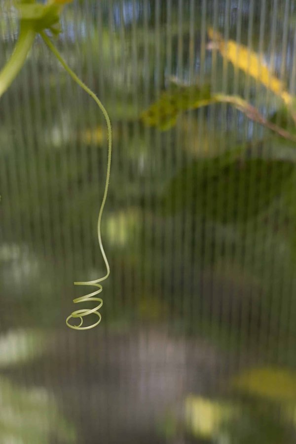 What Are the Best Strategies for UK Restaurants to Adapt to Food Delivery Apps?